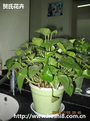 ͼƬΪ���ܵ���