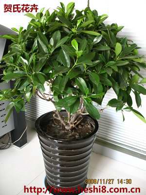 点击图片查看内容