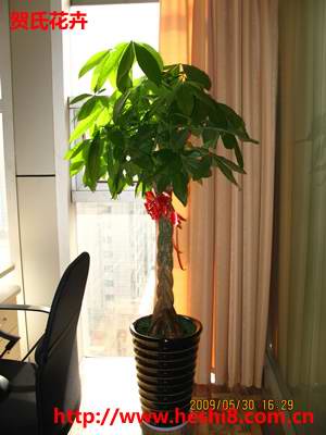 点击图片查看内容