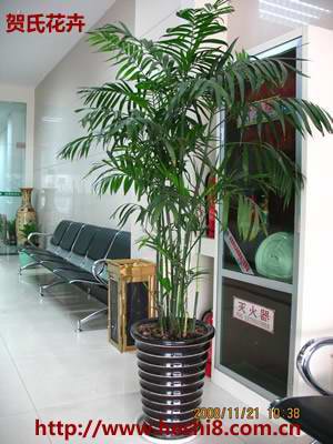 点击图片查看内容