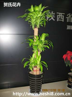 点击图片查看内容