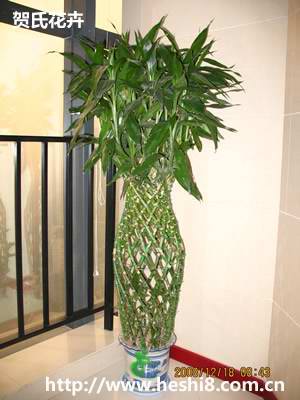 点击图片查看内容