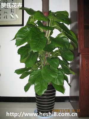 点击图片查看内容