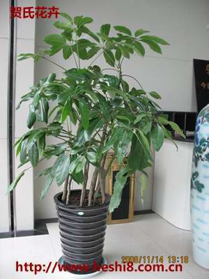 点击图片查看内容