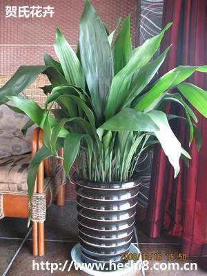 点击图片查看内容