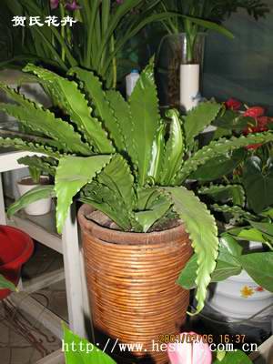 点击图片查看内容