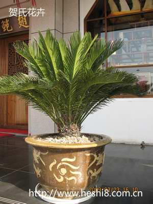 ���ͼƬ�鿴����