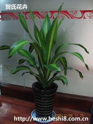 ���ͼƬ�鿴����