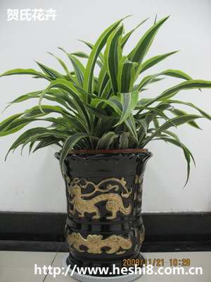 ���ͼƬ�鿴����