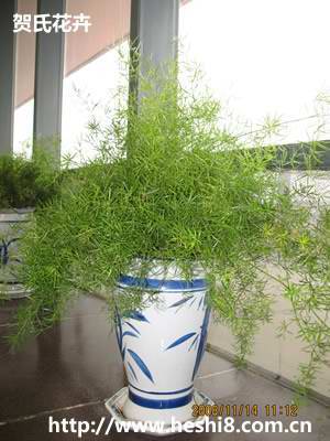 ���ͼƬ�鿴����