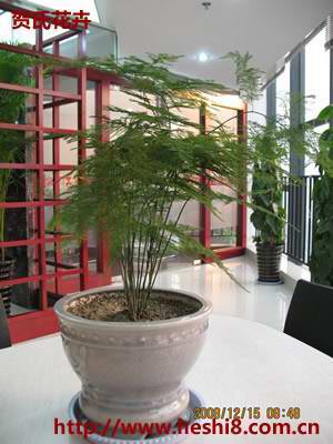 ���ͼƬ�鿴����