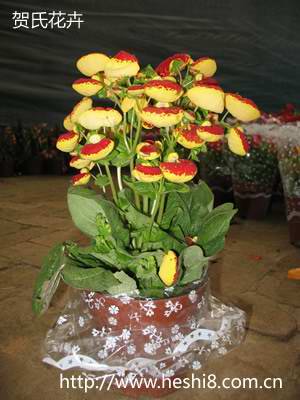 点击图片查看内容