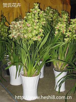 ���ͼƬ�鿴����