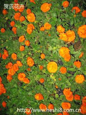 点击图片查看内容