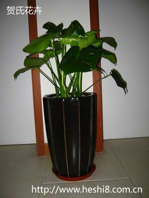 点击图片查看内容