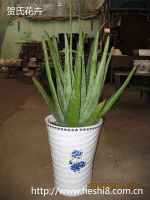 点击图片查看内容