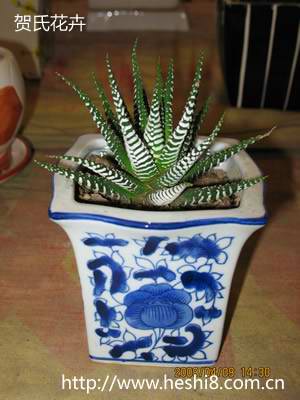 点击图片查看内容