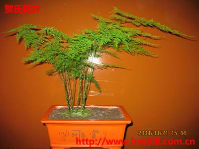 点击图片查看内容