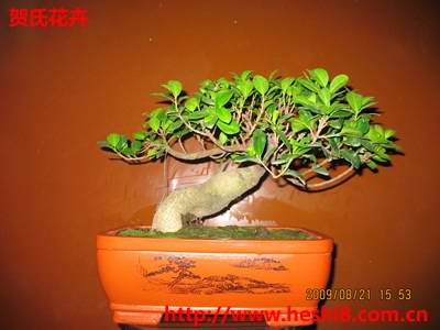 点击图片查看内容