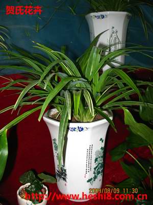 点击图片查看内容