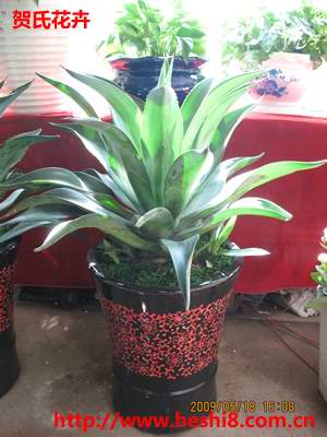 点击图片查看内容