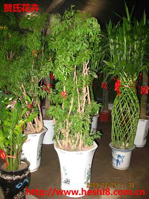 点击图片查看内容