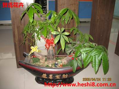 ���ͼƬ�鿴����