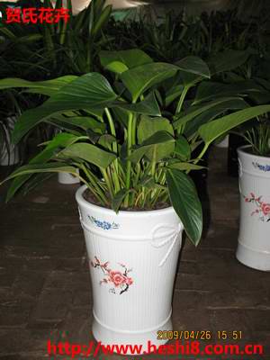 ���ͼƬ�鿴����