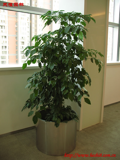 ���ͼƬ�鿴����