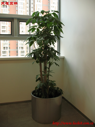 ���ͼƬ�鿴����